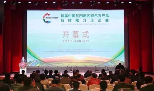 消費扶貧 漢中在行動——組織文化藝術(shù)交流活動助推脫貧攻堅