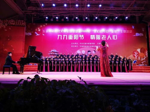 玉溪市文化館群苑合唱團閃耀2020年‘我們的節(jié)日·重陽’文藝晚會暨文化藝術(shù)交流活動